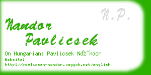 nandor pavlicsek business card